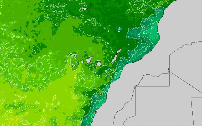 Canary Islands Regional Sea Surface Temperature Chart | SURFLINE.COM