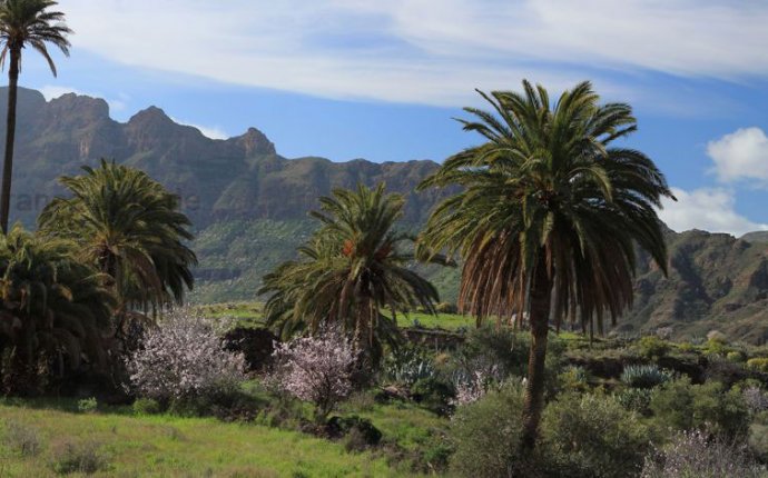 Santa Lucia hike