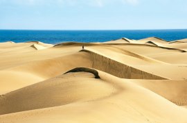 Dunes and sea of playa del inles maspalomas