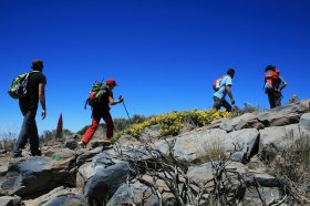 Hiking in the Canary Islands