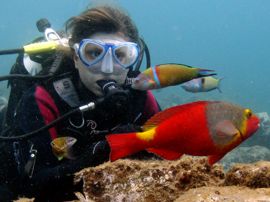 The marine reserve at el Cabron near Arinaga has a varied fauna with many colourful fish for divers to swim with.