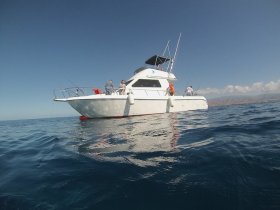 tuna fishing in gran canaria