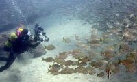 wreck diving in Gran Canaria